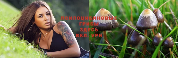 a pvp Бугульма
