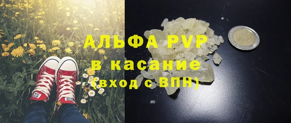 экстази Бородино
